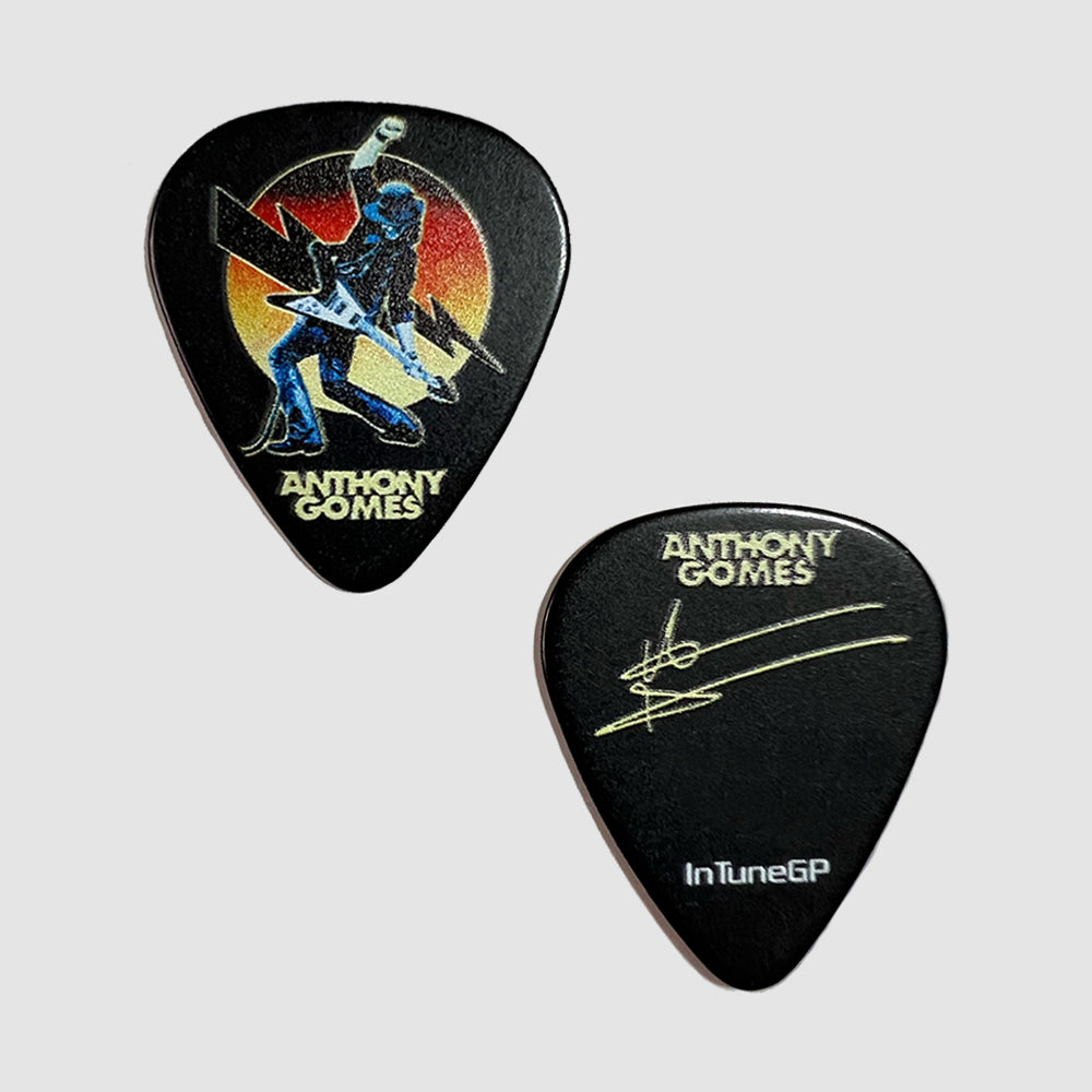 Anthony Gomes Custom HVB Guitar Picks (Set of 2)